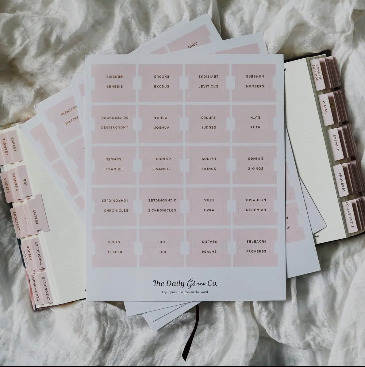 Blush Bible Tabs
