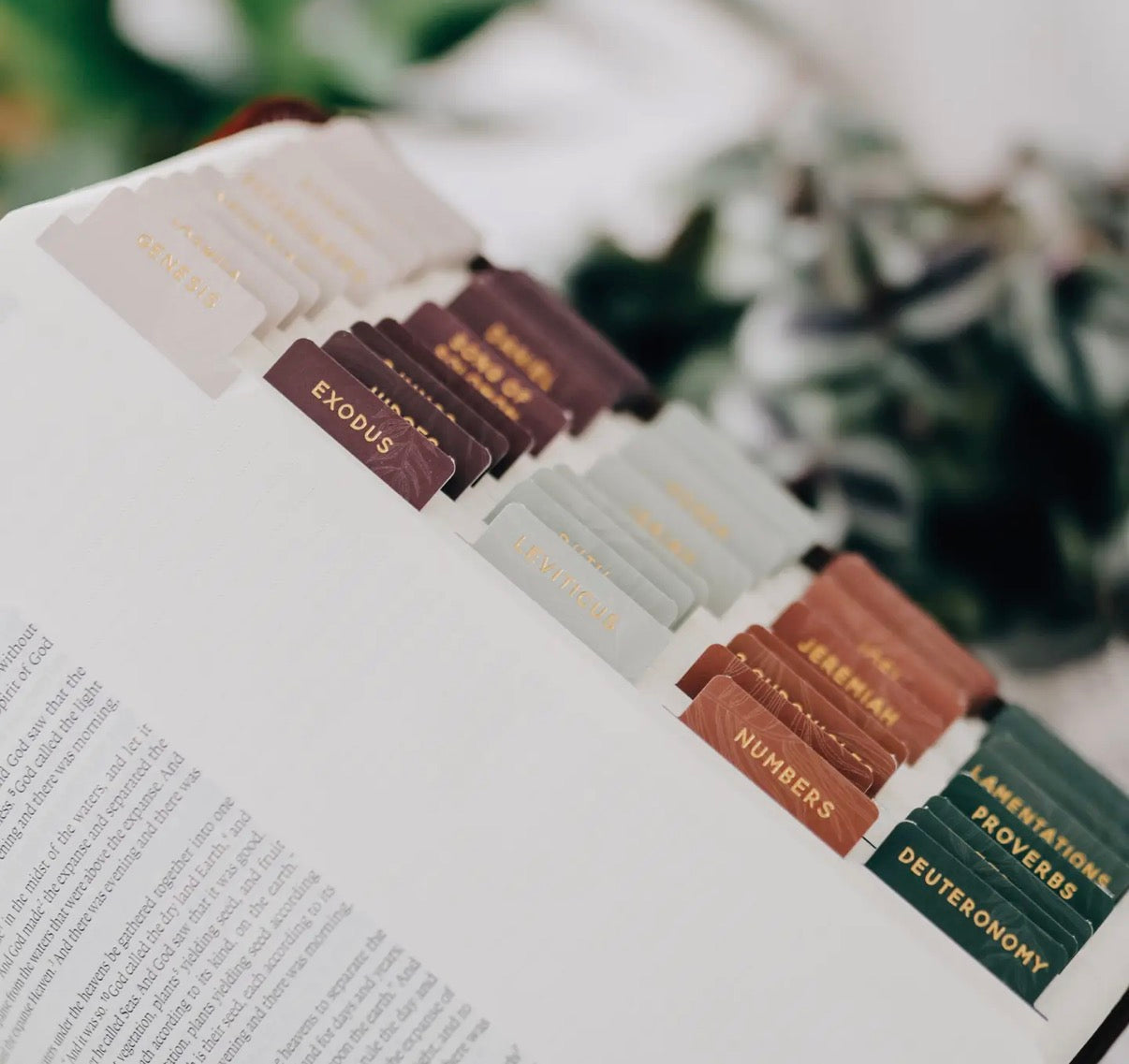 Jewel Tone Bible Tabs