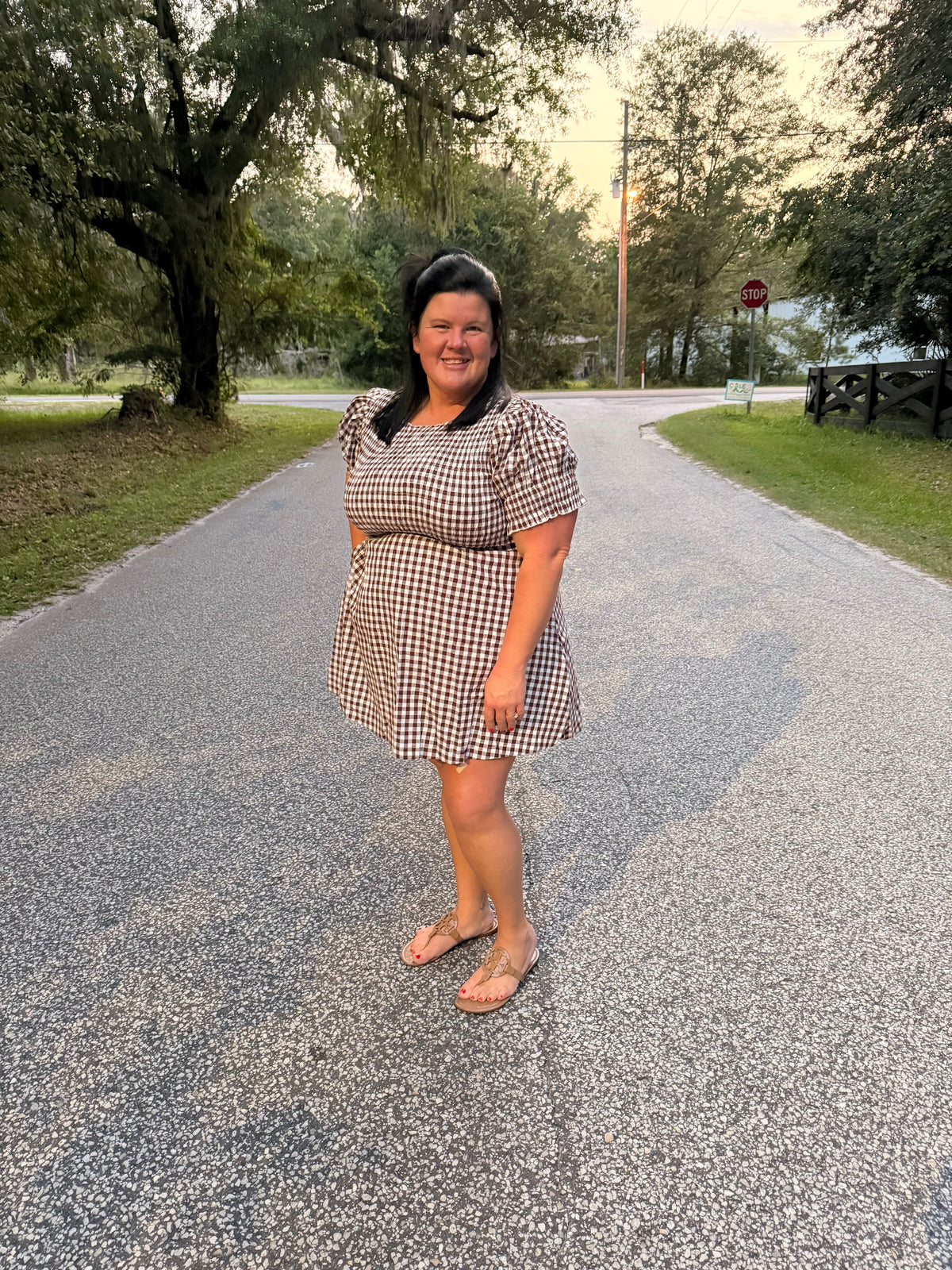 Gingham Puff Sleeve Dress